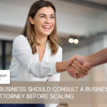 business litigation attorney
